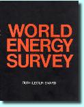 Worldenergy1fFW1